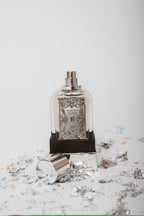 Moodboard Perfume Men, LR